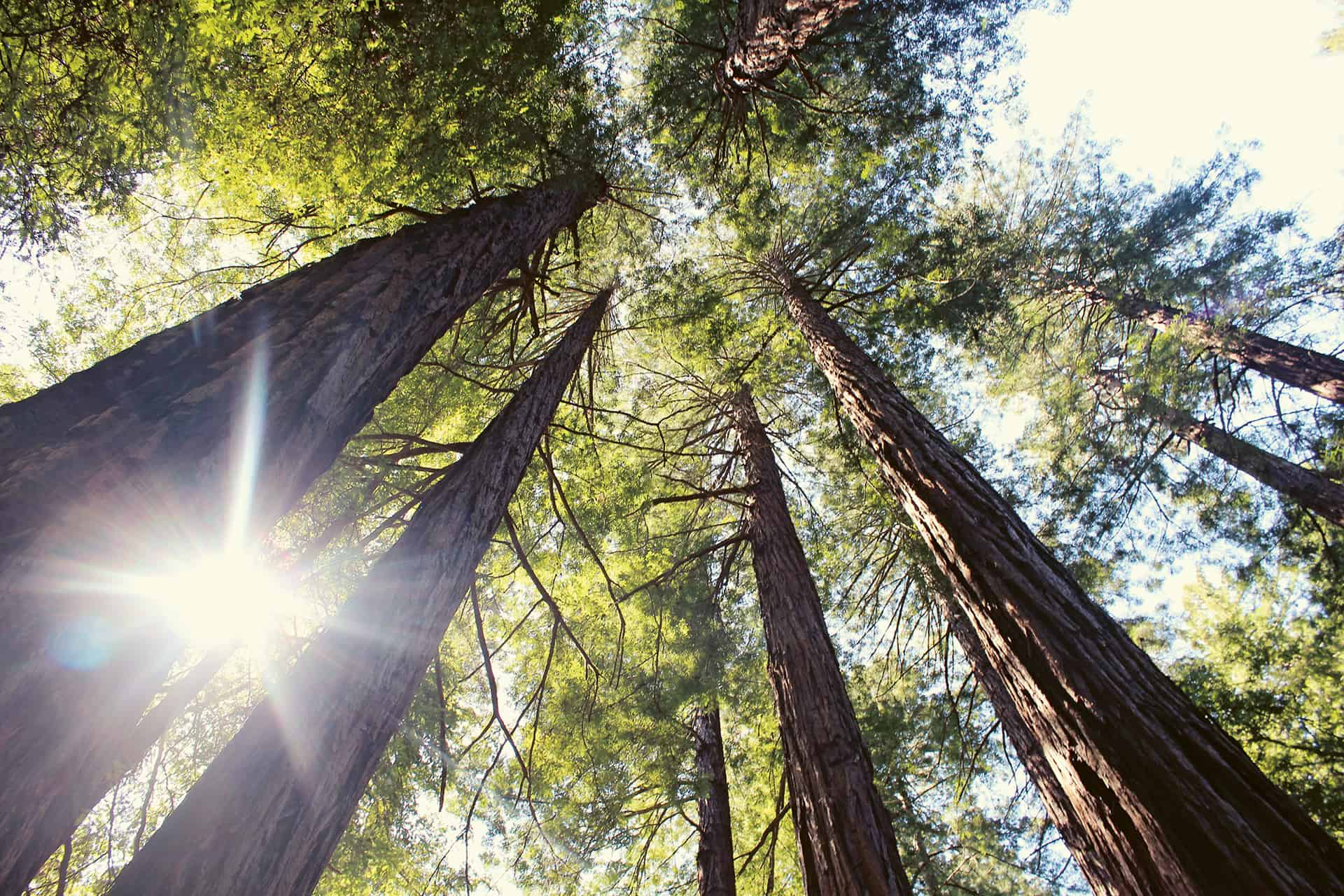 Développement durable – une définition